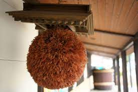 sugidama hanging above a sake distillery 