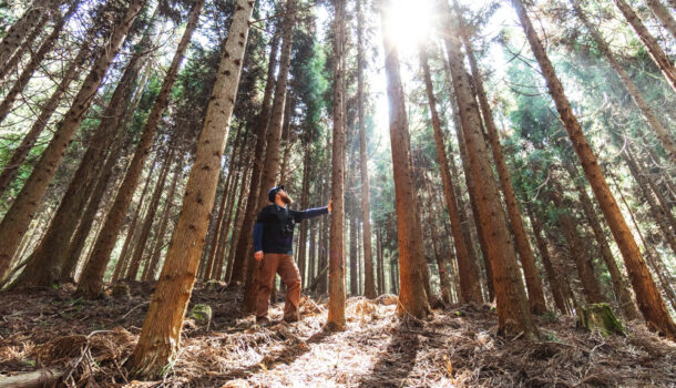 Employee in Japanese forest where Nakamoto Forestry sustainably harvests wood products