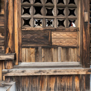 Historic Shrine made of Hinoki in Tsuyama, Japan Historic Shrine made of Hinoki in Tsuyama, Japan (Close-up)