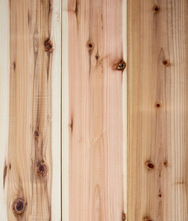 Textural Wonder Sugi