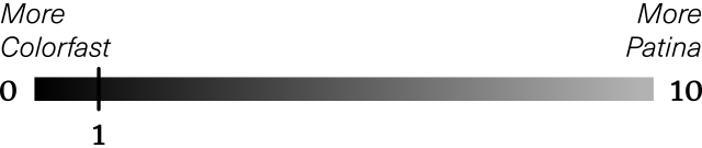 Graphic depicting a Patina Scale with a score of 1
