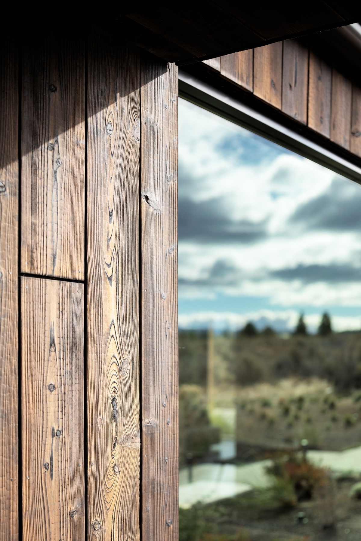 Gendai® Linseed Oil Amber | Authentic Yakisugi Siding