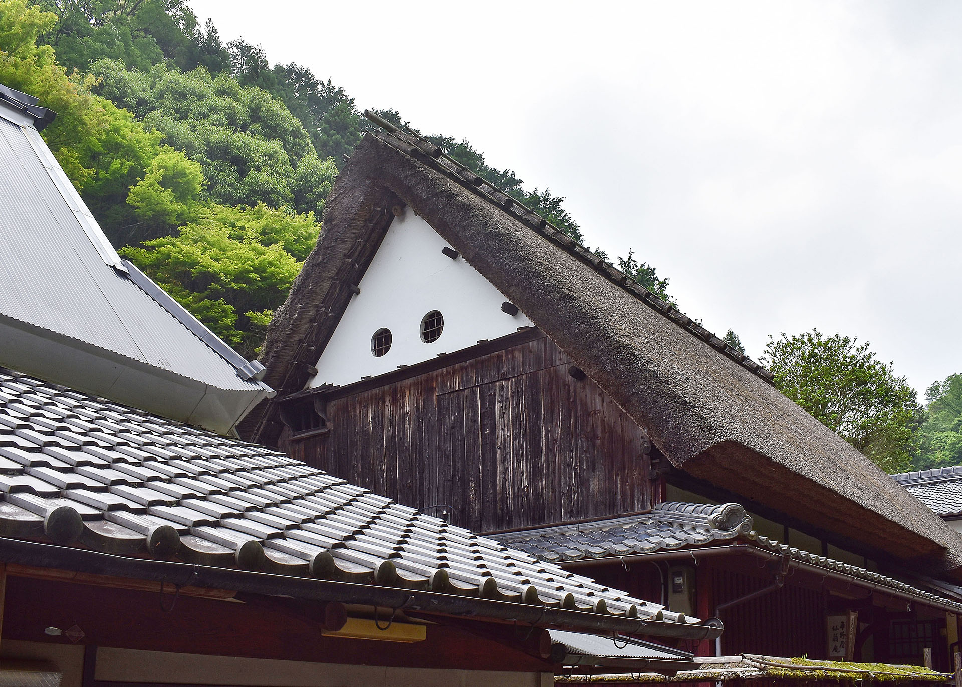 Historic Image Gallery | Nakamoto Forestry
